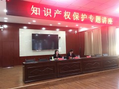 河北省石雕协会组织企业参加知识产权保护和维权专题讲座